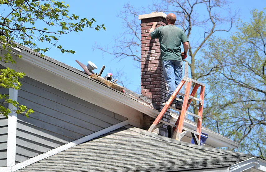 Chimney & Fireplace Inspections Services in Salisbury, MD